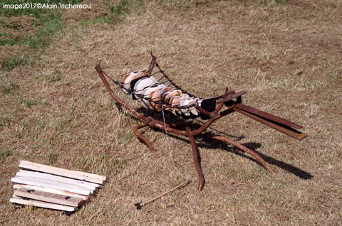 animal percussion clavier fabrication atelier terre et son créateur sculpture musicale