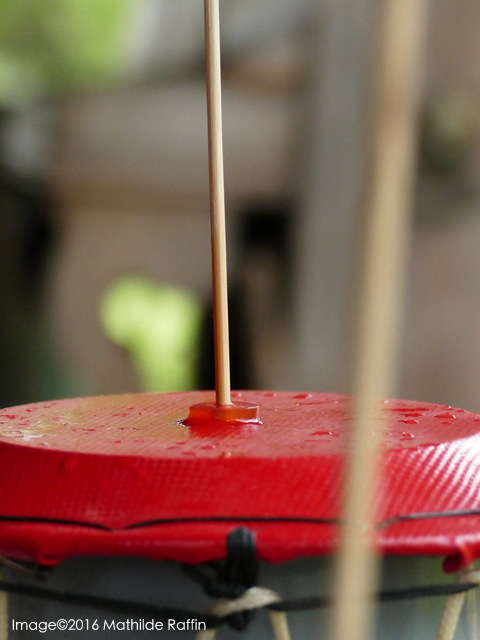 art du son et de la création découverte d'instrument de musique du monde récup art apprendre à fabriquer des instrument avec des matériaux de recyclage...